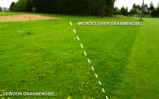 Microclover mix